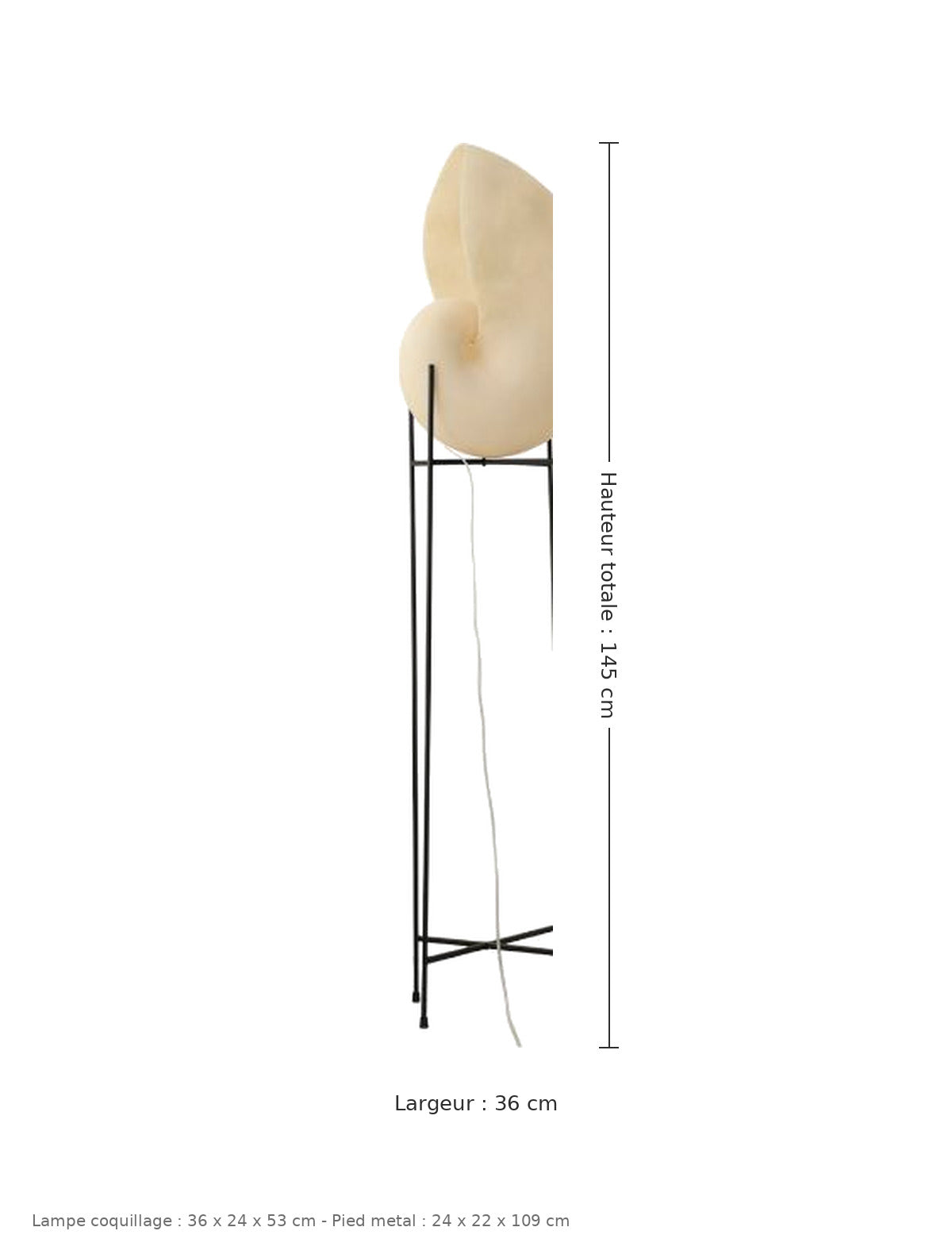 Lampadaire coquillage - dimensions : hauteur totale 145 cm